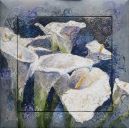 Paintings: Miscellaneous, Calla lilies, oil on canvas and wooden frame, 112x112 cm