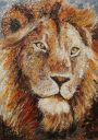 Paintings: Rental, Male lion, acrylic on canvas, 70x50 cm, € 1100,-