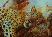 Schilderijen: Verkocht werk, Ontwakend luipaard, 50x70 cm (verkocht)
