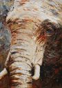 Paintings: Sold work, Elephant, acrylic on canvas, 70x50 cm
