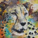 Paintings: Sold work, Cheetah Portrait, Öl auf Leinwand, 30 x 30 cm